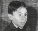 Alfalfa.jpg