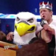 Swagger Soaring Eagle