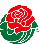 rose-bowl.jpg