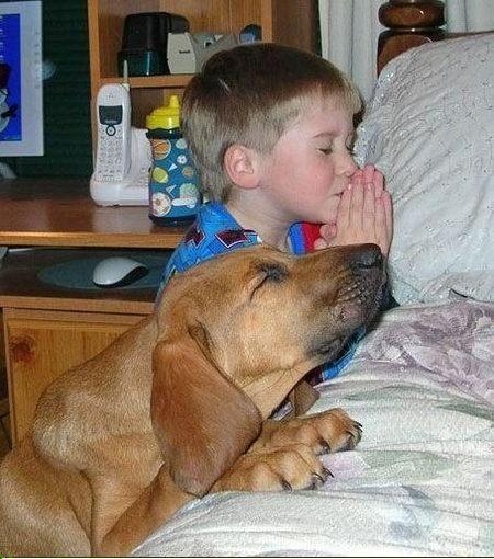 Boy_dog_praying.jpg