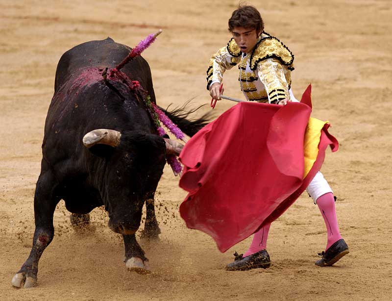 matador.jpg