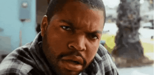 ice-cube-stare.gif