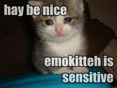 hay-be-nice-emokitteh-is-sensitive.jpg