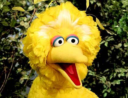 sesame_street_big_bird.jpg